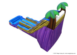 20' Tropical Blast Dual Lane Slide