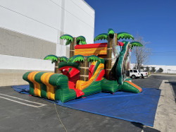 Dinosaur Bounce and Slide