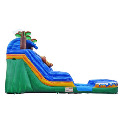 15' Hidden Jaguar Water Slide