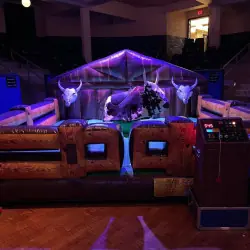 Mechanical Bull - Jumptastic