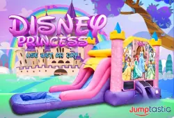 Disney Princess Deluxe Bounce and Slide